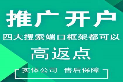 竞价托管SEM的创意与实践：多行业案例集